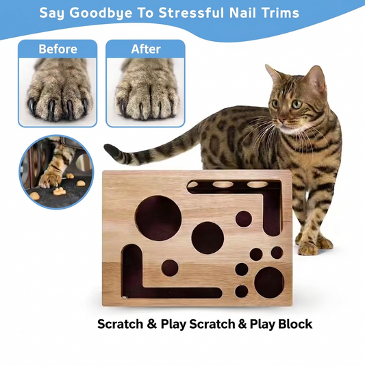 PawStore™ Wooden Cat Scratch & Play Block